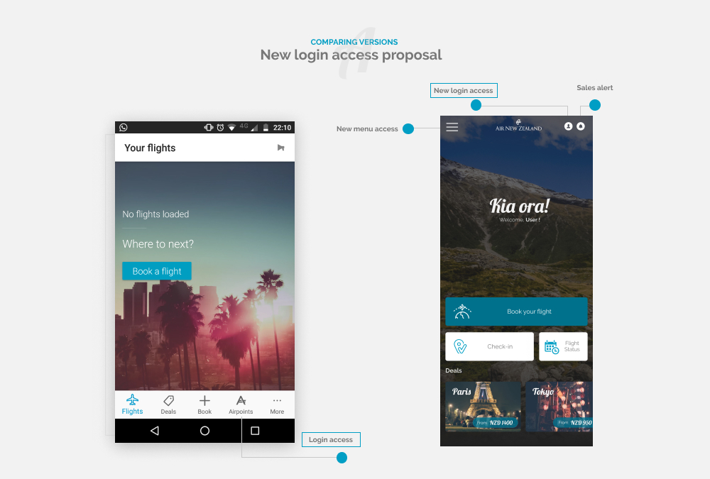 Air New Zealand — landscape view