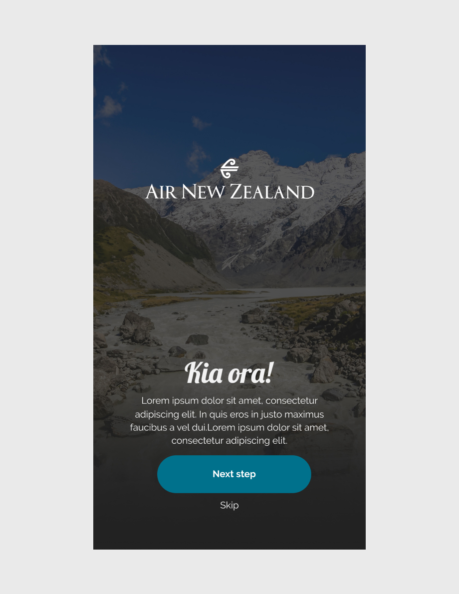 Air New Zealand — detail 02